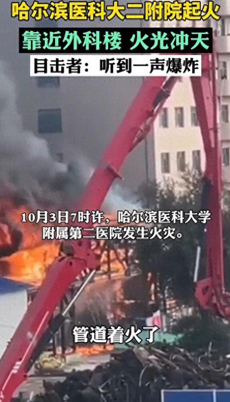 哈尔滨爆料事件始末视频,真相大白，揭秘背后真相
