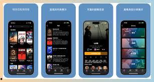 大片免费观看播放器,免费观看播放器带你领略影视魅力