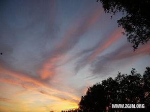 梦见与明星合影,与明星合影的奇幻之旅