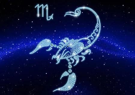 天蝎 在线观看,暗夜猎手，在线揭秘神秘世界