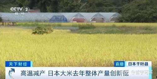日本粮食危机,挑战与应对策略的深度剖析