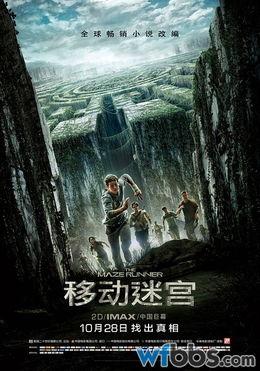 迷宫电影免费观看,免费解锁奇幻冒险之旅