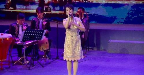 明星演艺公司怎么招聘,明星演艺公司高效招聘策略揭秘