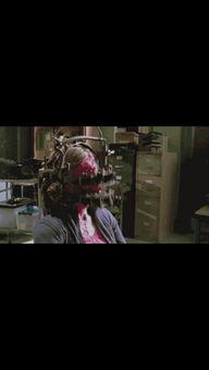 神马电影午夜欧美无码,揭秘神马电影欧美无码世界的隐秘角落