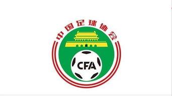 韩国足协爆料新闻最新,揭秘国家队备战2024亚洲杯关键策略与备战情况