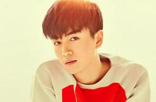 爱豆吃瓜娱乐酱陈晓,爱豆吃瓜娱乐酱，揭秘娱乐圈幕后故事