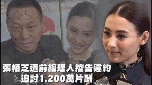 吃瓜娱乐旁白